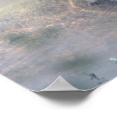 Last River and Fishポスター ポスター (角)