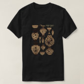 Late Minoan Ceramics Tシャツ (デザイン正面)