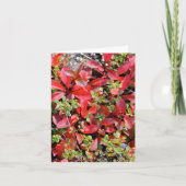 Late Summer in Alaska - 4" x 5.6" Notecard カード (正面)