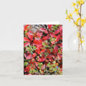 Late Summer in Alaska - 4" x 5.6" Notecard カード (黄色い花)