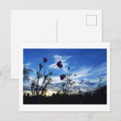 Late Summer Sky: Tokyo ポストカード (正面/裏面)