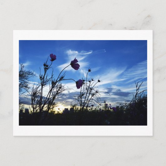 Late Summer Sky: Tokyo ポストカード (正面)