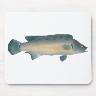 Lateral Striped Pike Cichlid マウスパッド