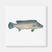 Lateral Striped Pike Cichlid マグネット (正面)