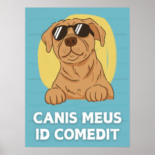 Latin おもしろい Classroom Poster - Canis Meus ポスター