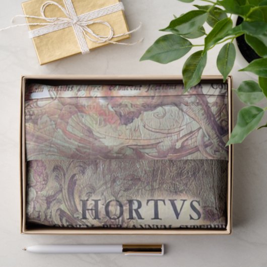 Latin ephemera 薄葉紙 (ギフト)