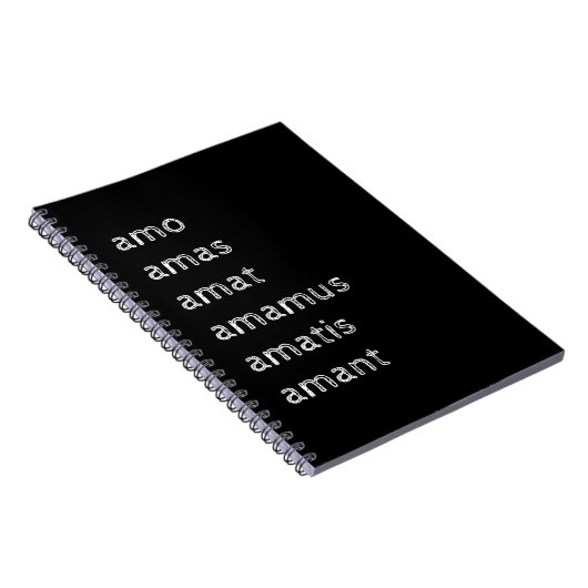 Latin Notebook, Amo amas amat ノートブック (右側)