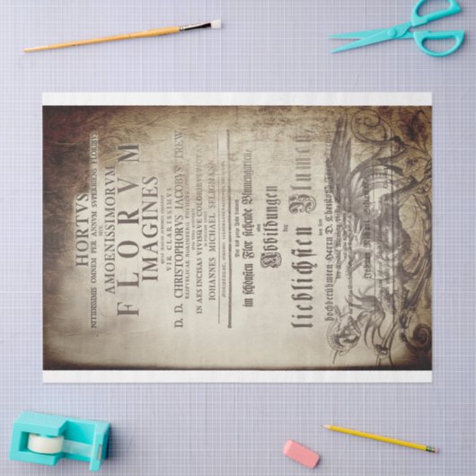 Latin scrollwork 薄葉紙 (クラフト)