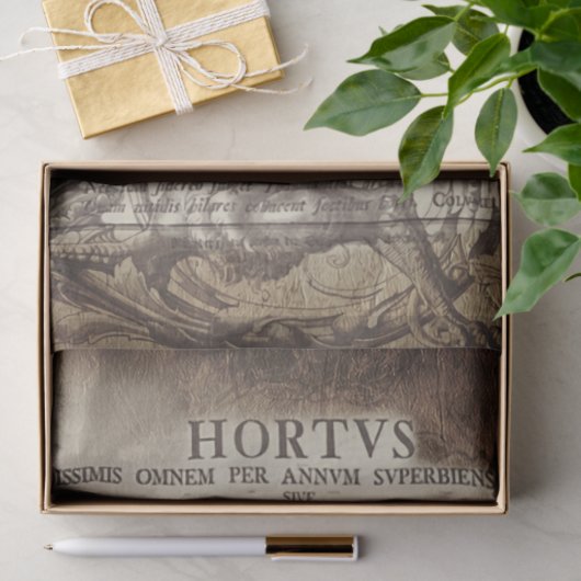 Latin scrollwork 薄葉紙 (ギフト)