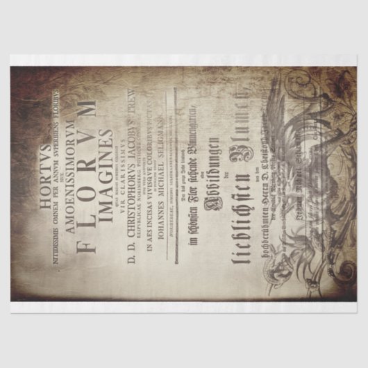 Latin scrollwork 薄葉紙 (正面)