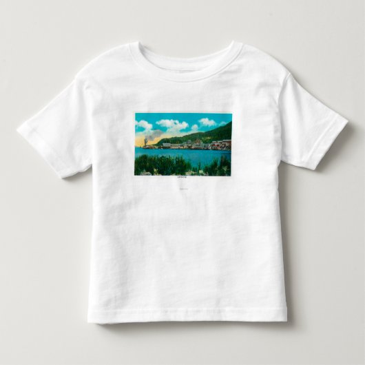 Latouche、AlaskaLatouche、AKの町の眺め トドラーTシャツ (正面)