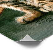 Lattice Cats Poster、虎猫のtuxedes kmcoriginals ポスター (角)