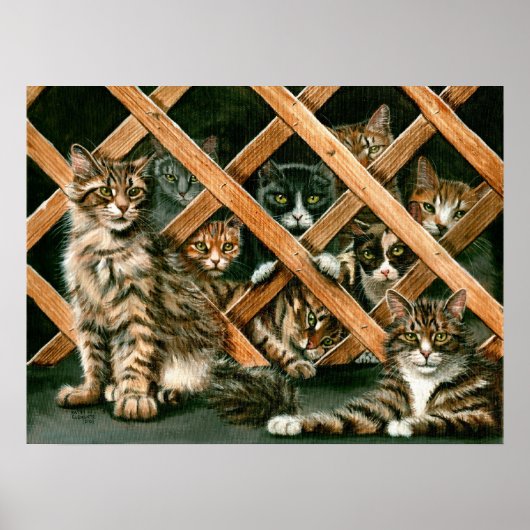 Lattice Cats Poster、虎猫のtuxedes kmcoriginals ポスター (正面)