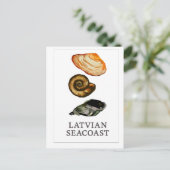 Latvian Seacoast –  Seashell Postcard ポストカード (スタンド正面)