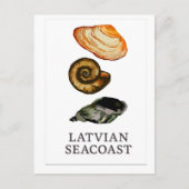 Latvian Seacoast –  Seashell Postcard ポストカード (正面)