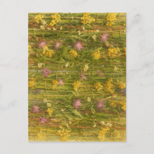 Latvian Wildflowers – Nature Preserved ポストカード (正面)