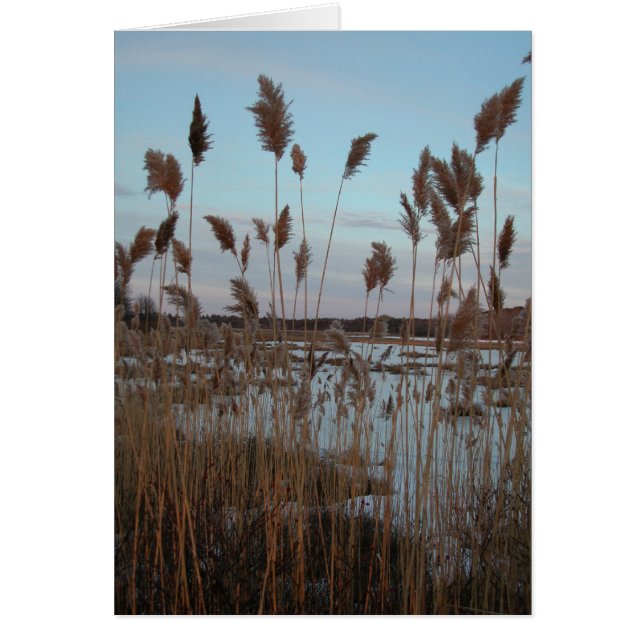 Laudholmの農場 (正面)