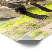 Laughing Hyena ポスター (角)