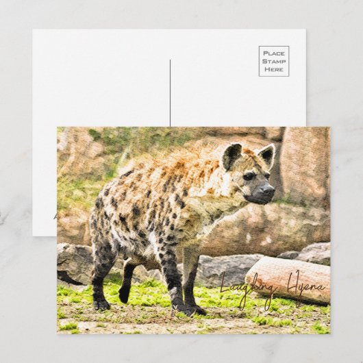 Laughing Hyena ポストカード (正面/裏面)