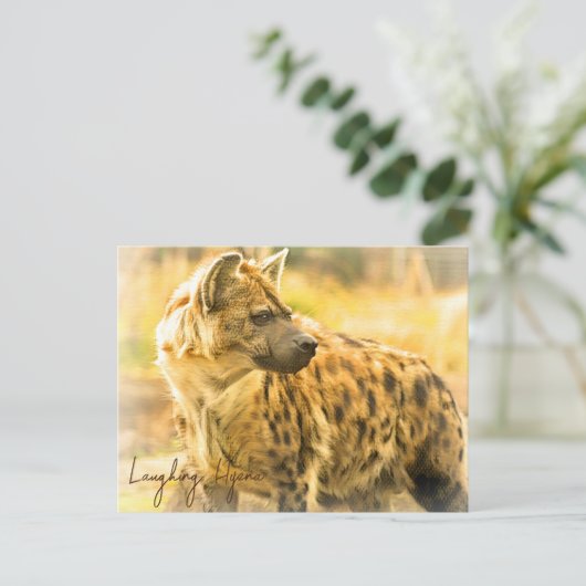 Laughing Hyena ポストカード (スタンド正面)