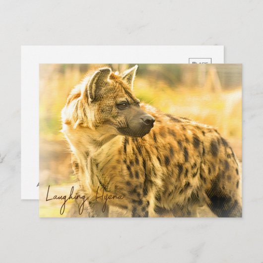 Laughing Hyena ポストカード (正面/裏面)