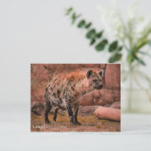 Laughing Hyena ポストカード (スタンド正面)