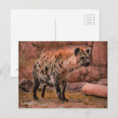 Laughing Hyena ポストカード (正面/裏面)