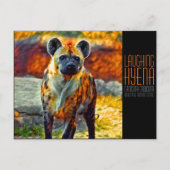 Laughing hyena ポストカード (正面)