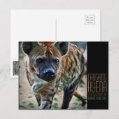 Laughing hyena [Postcard] ポストカード (正面/裏面)