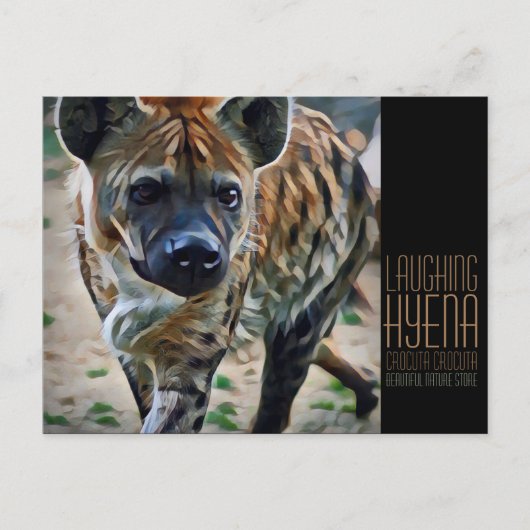 Laughing hyena [Postcard] ポストカード (正面)
