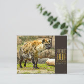 Laughing hyena [Postcard] ポストカード (スタンド正面)