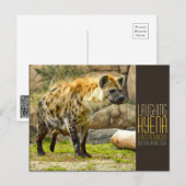 Laughing hyena [Postcard] ポストカード (正面/裏面)