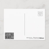 Laughing hyena [Postcard] ポストカード (裏面)