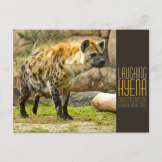 Laughing hyena [Postcard] ポストカード