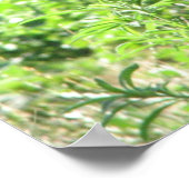 Laughing Hyena Poster ポスター (角)