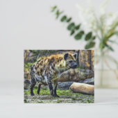 Laughing hyena_ver. 3.0 [Postcard] ポストカード (スタンド正面)