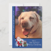 Laughing Santa Reindeer Lab Pet Photo Modern シーズンカード (正面)