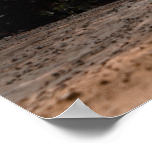 Launching Cusco ポスター (角)