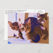 Laurie、ラリー及びLouie 案内ポストカード (正面/裏面)