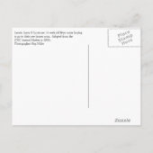 Laurie、ラリー及びLouie 案内ポストカード (裏面)