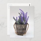 lavander ポストカード (正面/裏面)