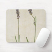 Lavandulaのofficinalis (古い英国ラベンダー)、c.15 マウスパッド (マウス)