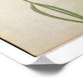 Lavandula officinalis （旧英語ラベンダー）, c.15 ポスター (角)