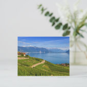Lavaux region, Vaud, HDR ポストカード (スタンド正面)