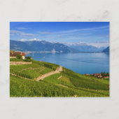 Lavaux region, Vaud, HDR ポストカード (正面)
