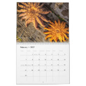 Laveda 2024-2025カレンダー画像 カレンダー (2月 2027)