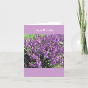 Lavendarによっては誕生日の願いが開花します カード