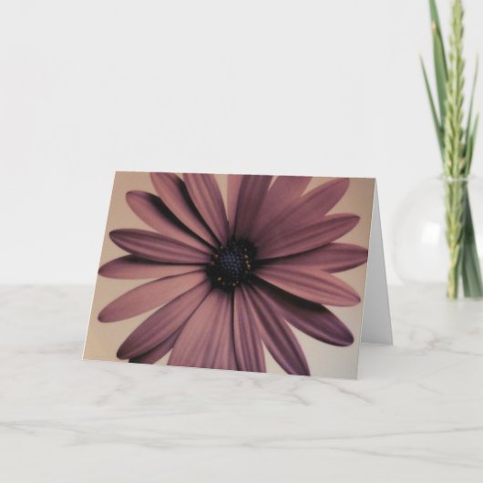 Lavendarのデイジー カード (正面)