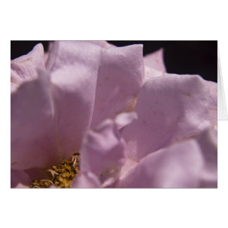 Lavendarのバラの花びらカード