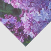 Lavendarのライラック 薄葉紙 (詳細)